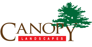 Canopy Landscapes